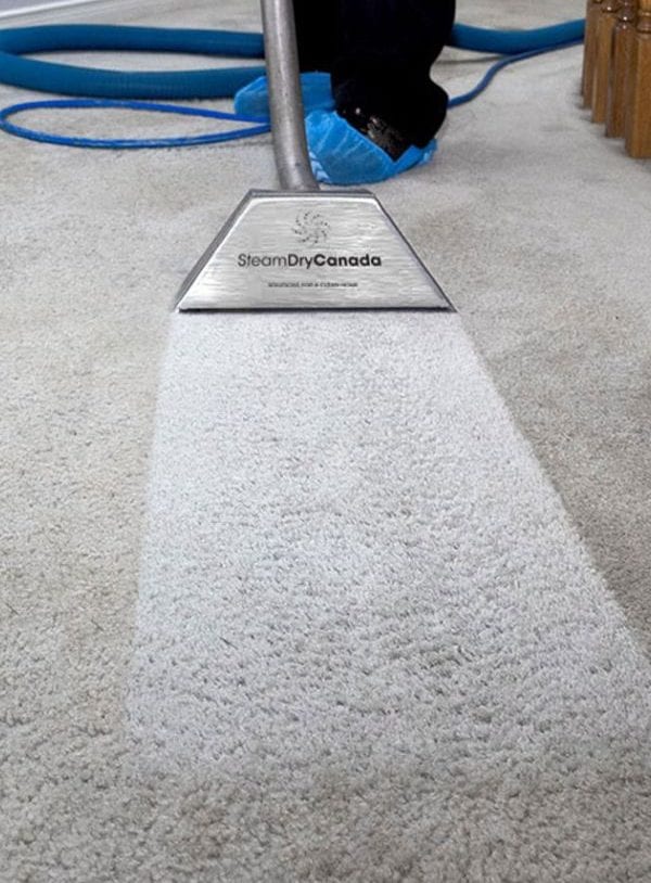 Carpet Cleaning