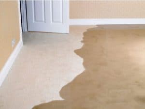 Wet Carpet After Flood