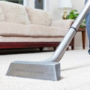 Carpets Drying Time After Cleaning