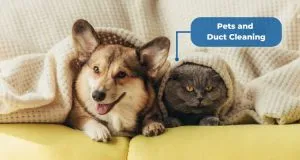 Pets and 
Duct Cleaning