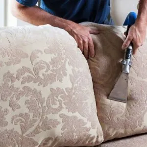 Your Sofa Holds 12x More Bacteria Than Your Toilet