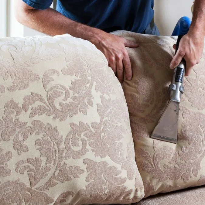 Your Sofa Holds 12x More Bacteria Than Your Toilet