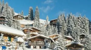 Make House Ready for Cold Weather