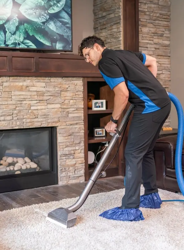 Carpet Cleaning
